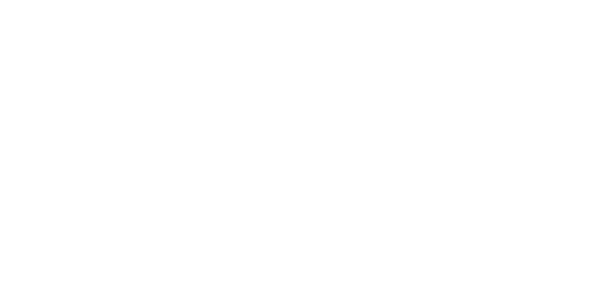 flexpark